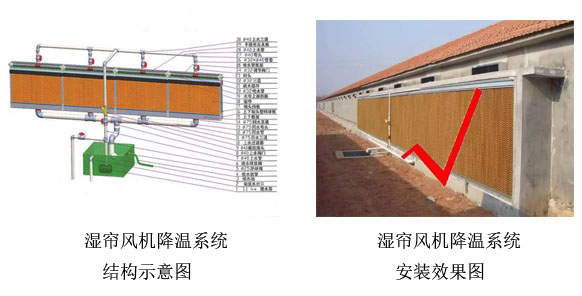 濕簾風(fēng)機降溫系統